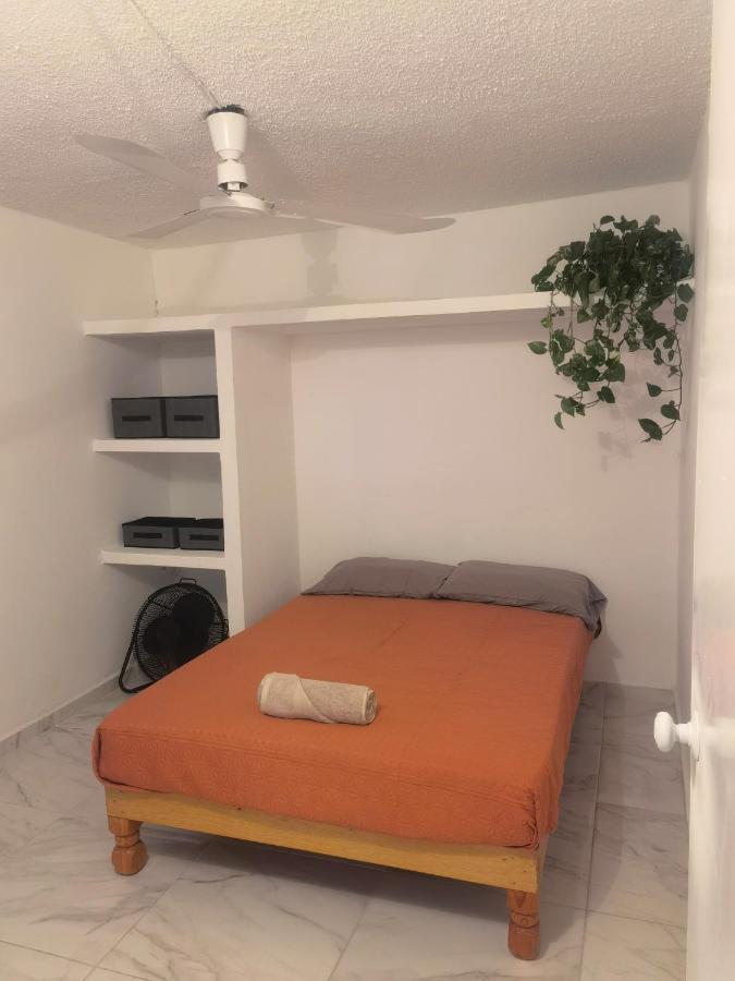 マサトラン Casa Delfinヴィラ エクステリア 写真